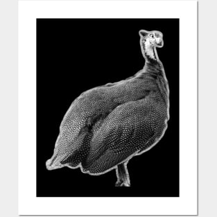 goose Posters and Art